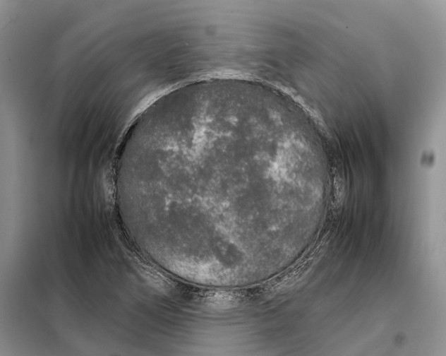 X0000098041266200804181246