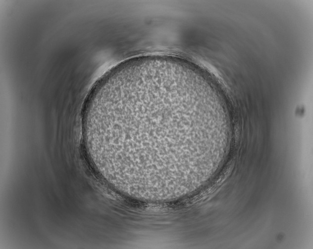 X0000098041267200804181246