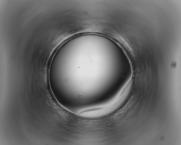 X0000098041268200804181246