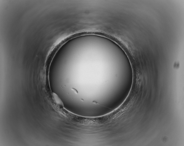 X0000098041270200804181246