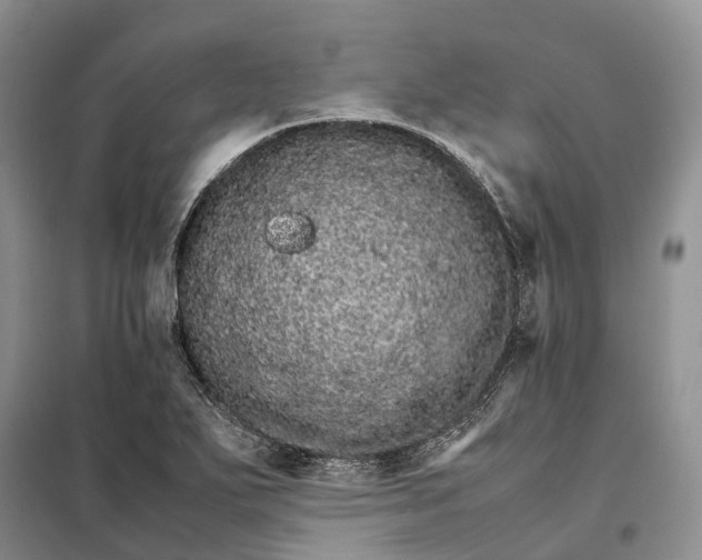 X0000098041271200804181246