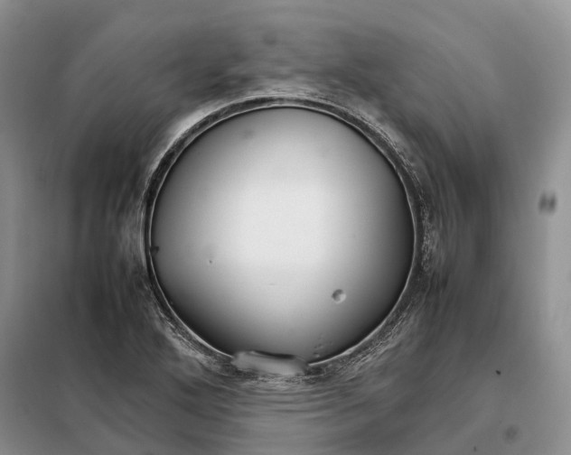 X0000098041272200804181246