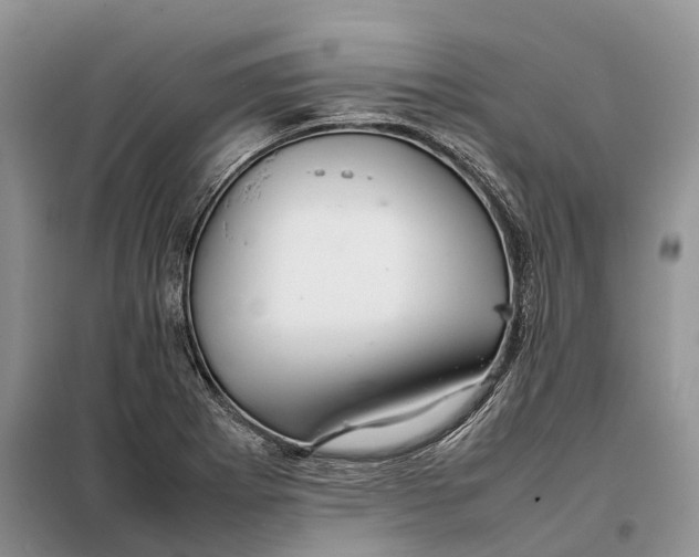 X0000098041273200804181246