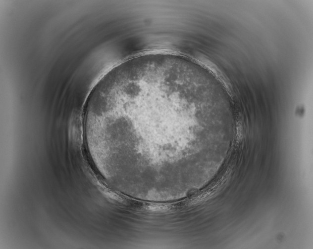 X0000098041274200804181246