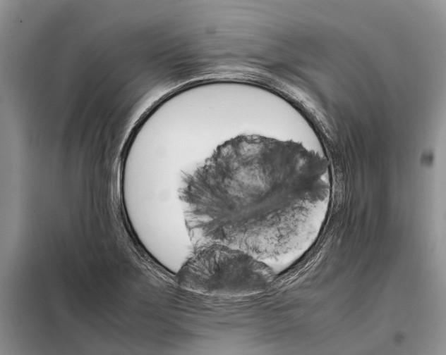 X0000098041275200804181246