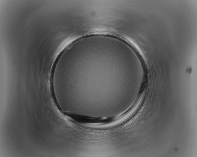 X0000098041277200804181246