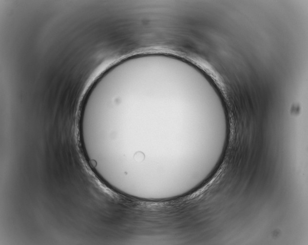 X0000098041278200804181246