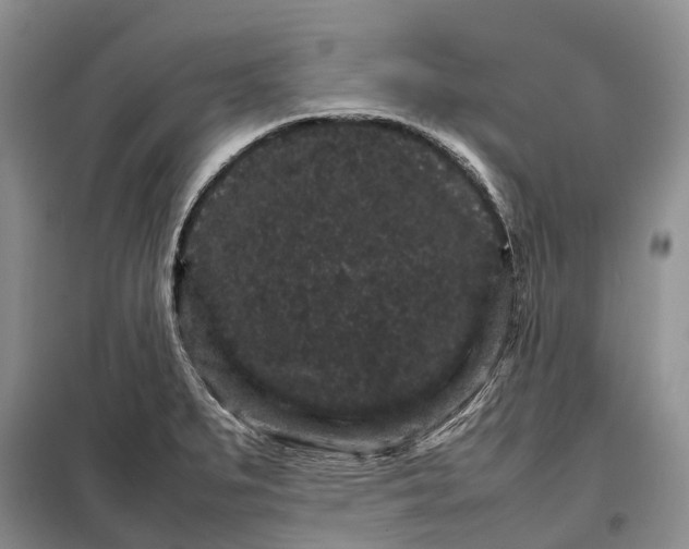 X0000098041279200804181246