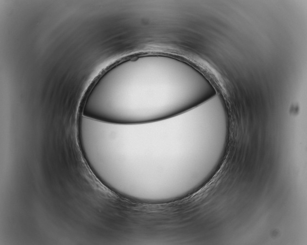 X0000098041280200804181246