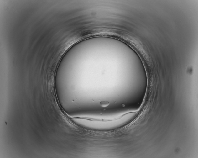 X0000098041281200804181246