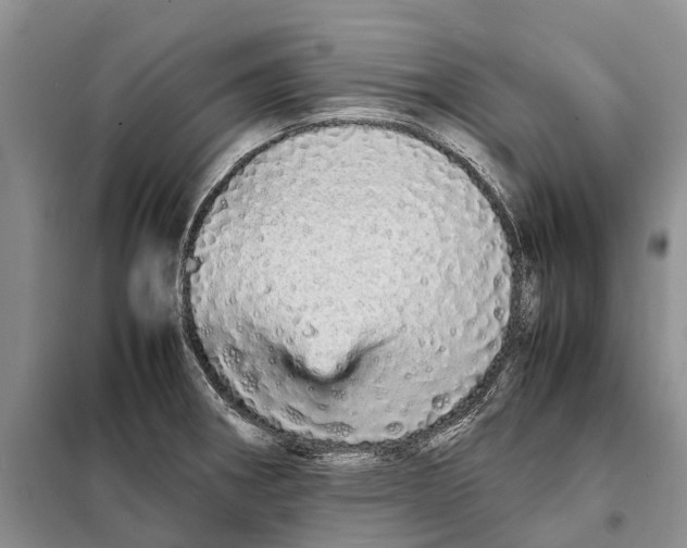 X0000098041282200804181246