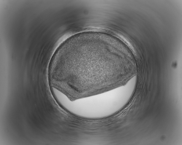 X0000098041283200804181246