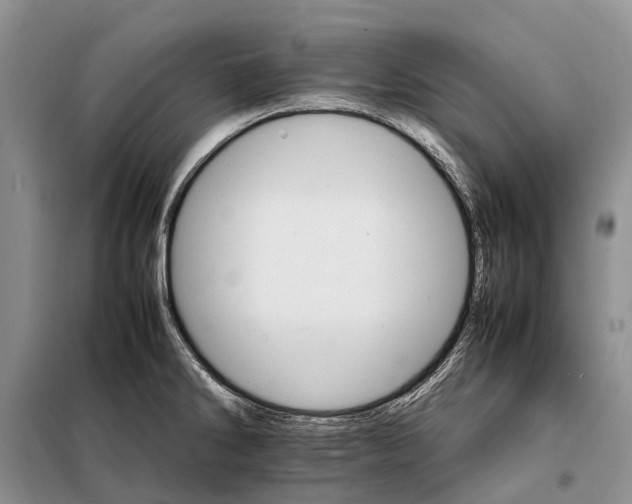 X0000098041286200804181246