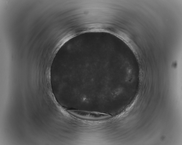 X0000098041289200804181246