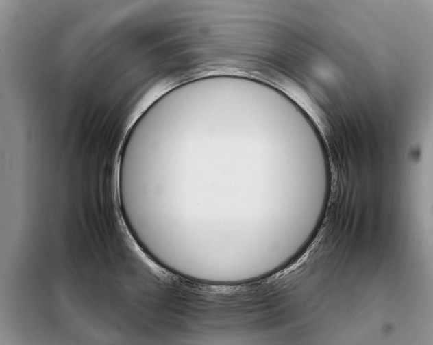 X0000098041290200804181246