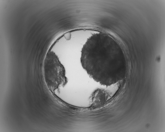 X0000098041291200804181246