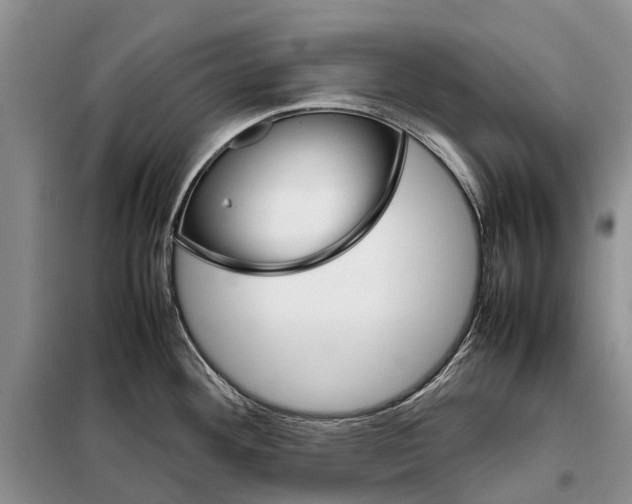 X0000098041292200804181246