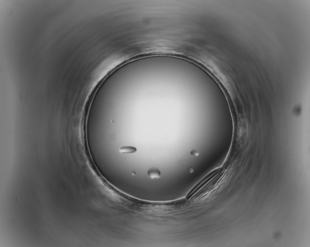 X0000098041293200804181246