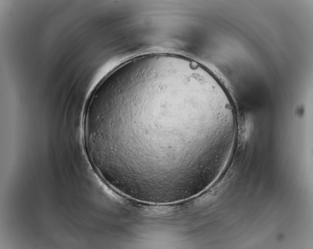 X0000098041294200804181246