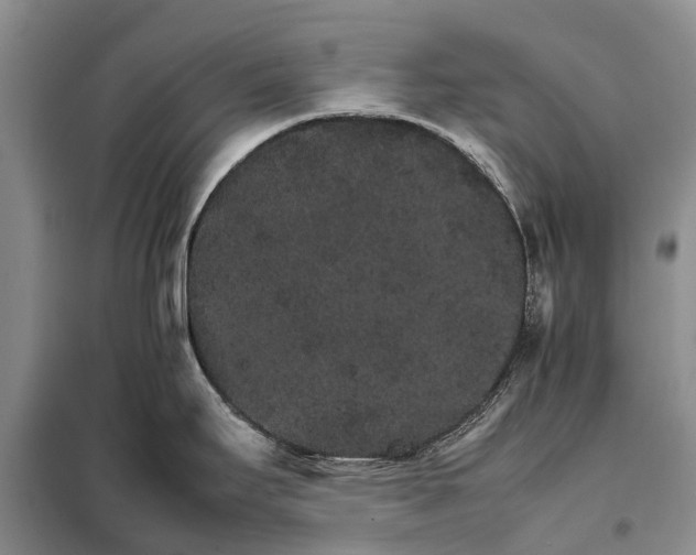 X0000098041295200804181246