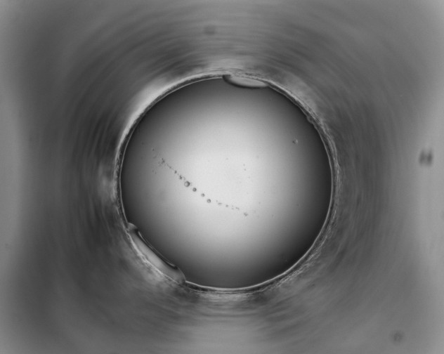 X0000098041296200804181246