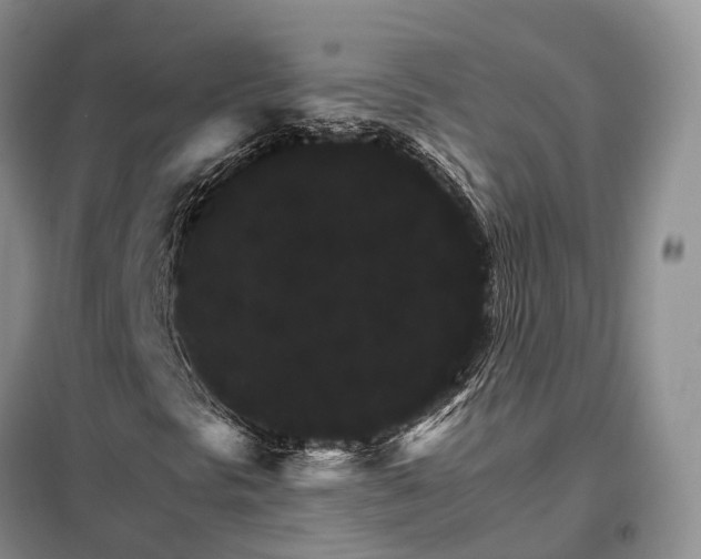 X0000098041297200804181245