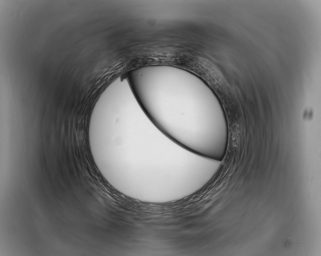 X0000098041298200804181245