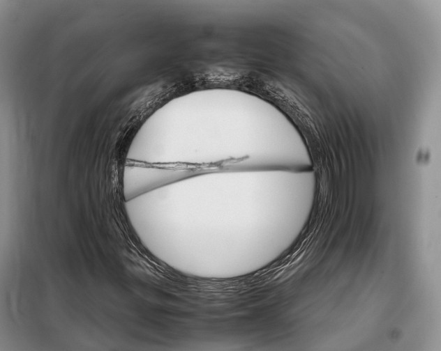 X0000098041299200804181245