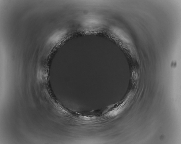 X0000098041300200804181245