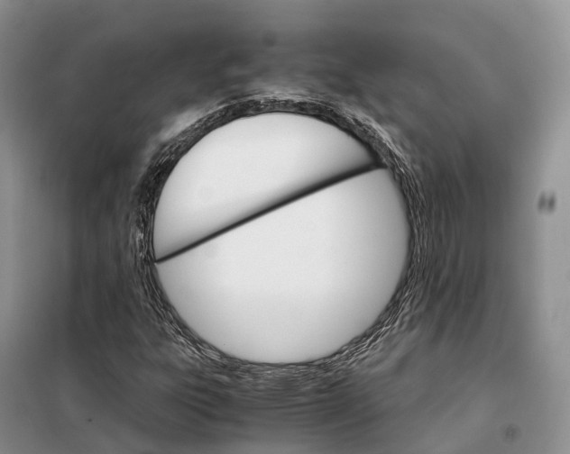 X0000098041303200804181245