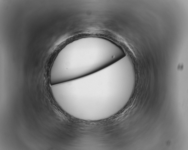 X0000098041304200804181245