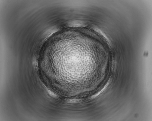 X0000098041305200804181245