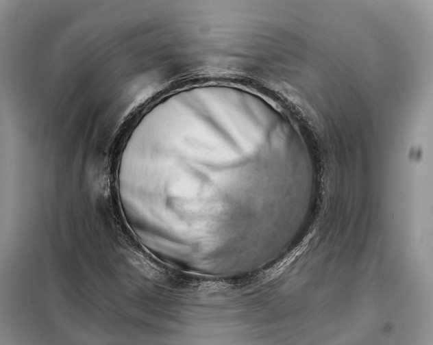 X0000098041306200804181245