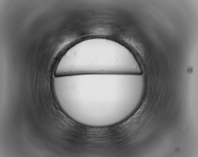 X0000098041307200804181245