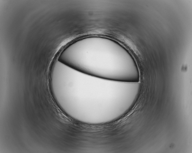 X0000098041308200804181245