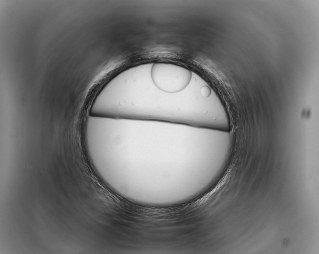 X0000098041309200804181245