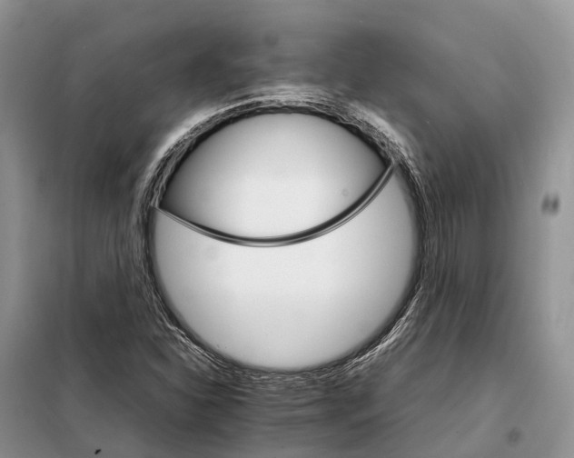 X0000098041310200804181245