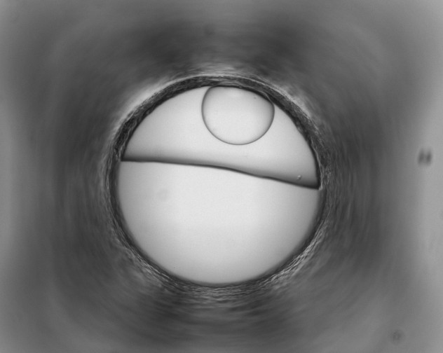 X0000098041311200804181245