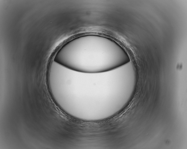 X0000098041312200804181245