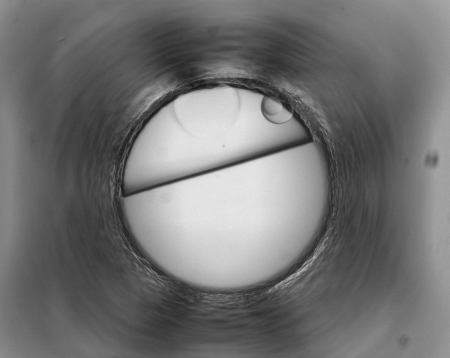 X0000098041313200804181245