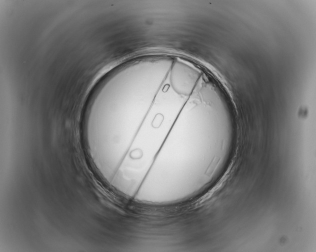 X0000098041314200804181245