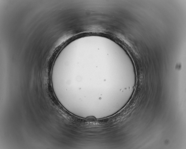 X0000098041315200804181245