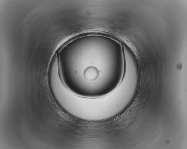 X0000098041316200804181245