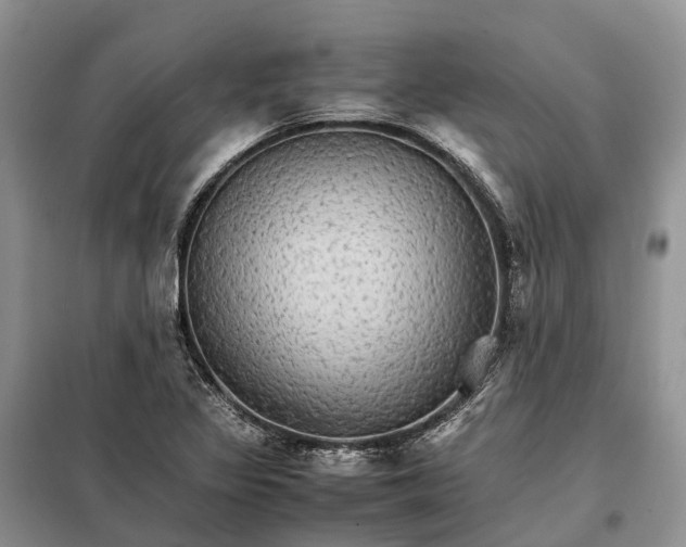 X0000098041317200804181245