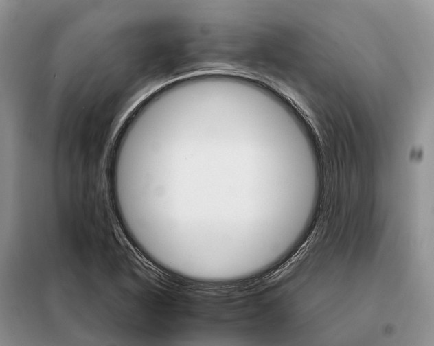 X0000098041318200804181245