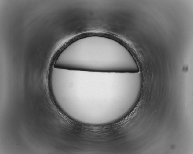 X0000098041319200804181245