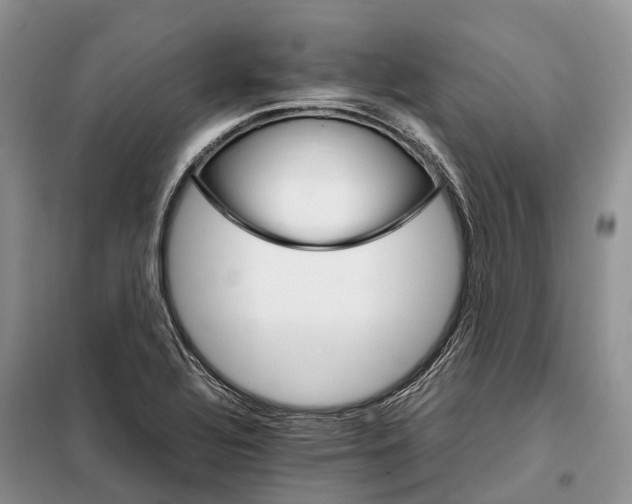 X0000098041320200804181245