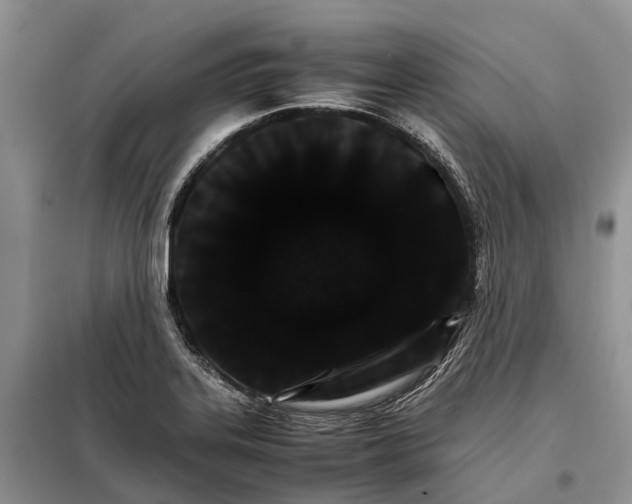 X0000098041323200804181245