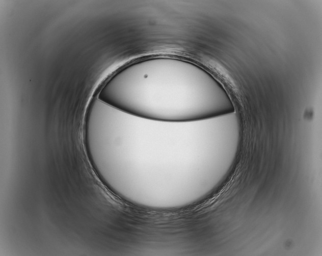 X0000098041324200804181245