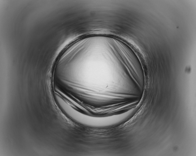 X0000098041325200804181245